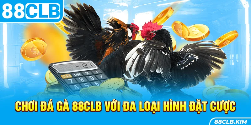 Chơi đá gà 88clb với đa loại hình đặt cược