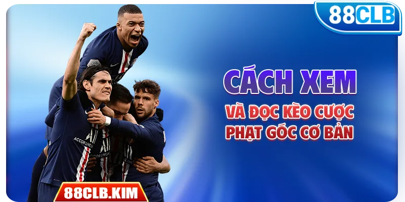 Cách xem và đọc kèo cược phạt góc cơ bản