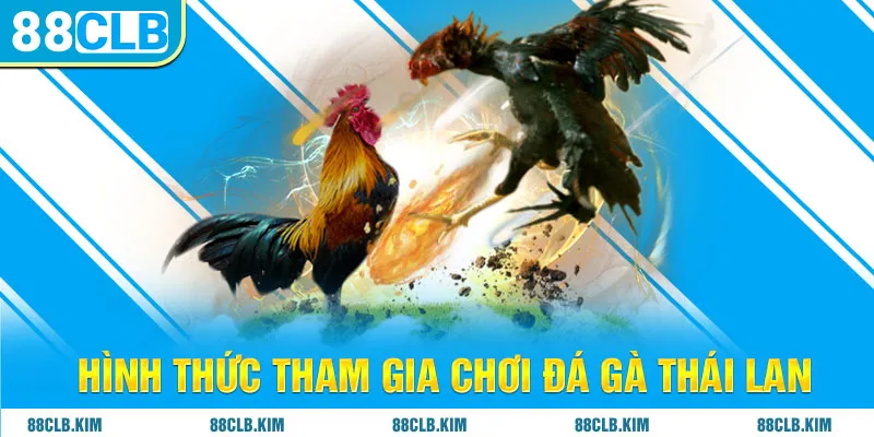 Hình thức tham gia chơi đá gà Thái Lan