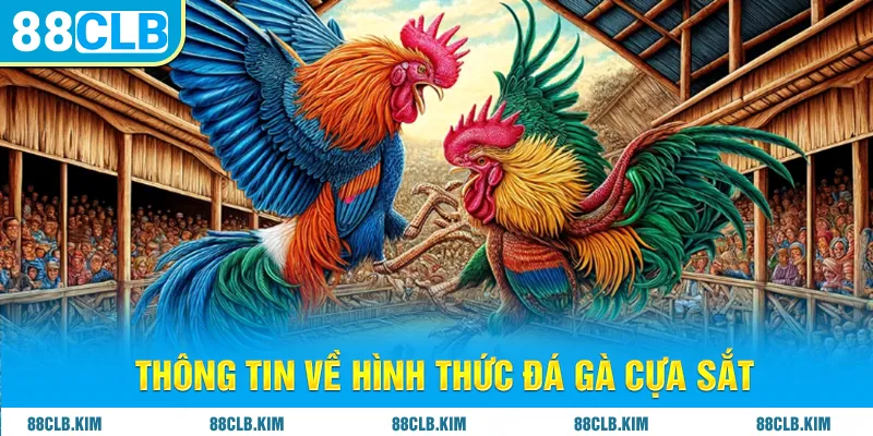 Thông tin về hình thức đá gà cựa sắt